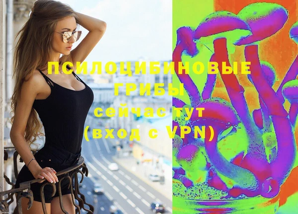 бутират Алексеевка