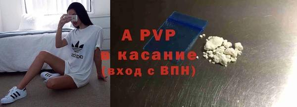 индика Алзамай