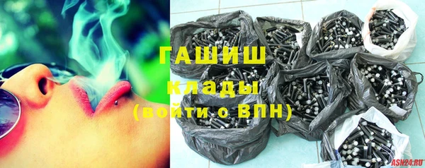 индика Алзамай