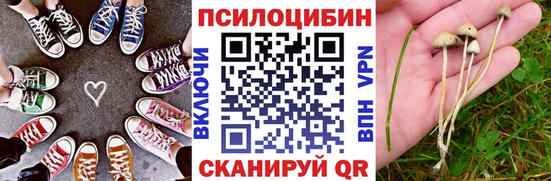 shop официальный сайт закладка Болгар Галлюциногенные грибы ЛСД